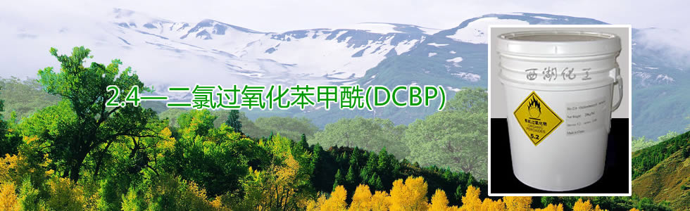 2.4ȹ(DCBP)
