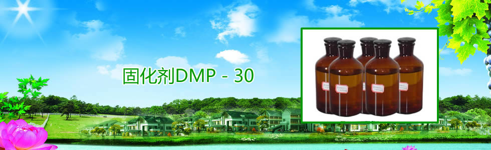 ̻DMP30